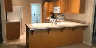 Beautiful Single-Level Home with 3-Car Garage, RV Parking & Gorgeous Landscaping Gallery 8