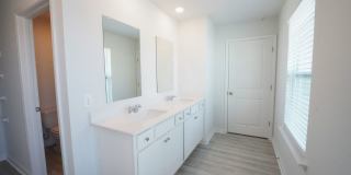 Available Soon! Gallery 18