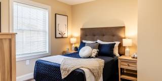 Paugus Woods Gallery 21