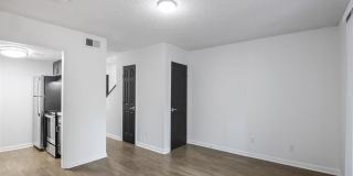 The Palmiere Gallery 7