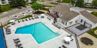 TGM Autumn Woods Gallery 32