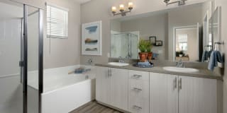 Harvest in Tracy Gallery 19