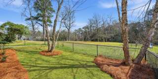 Charming Auburn Home! Gallery 20