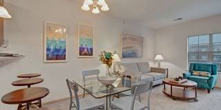Swan Creek Gallery 2