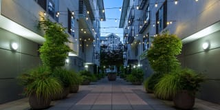 Tera Apartments Gallery 33