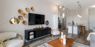 Maven at Wheaton Gallery 20