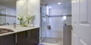 Sofia Coral Gables Gallery 19