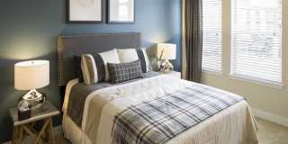 Pearl Apartments Gallery 8