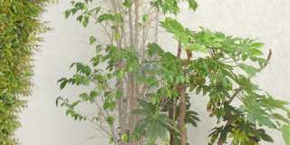 Fairview Apartments Gallery 15