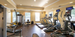 Saratoga Square Gallery 11