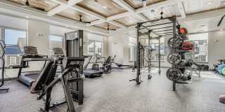 The Gallery Gallery 24