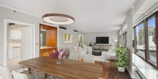 161 E Chicago Avenue unit: 31E Gallery 5