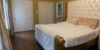 5220 WINDING STAR Circle Gallery 15