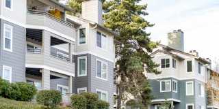 Skyline at Murrayhill Gallery 41