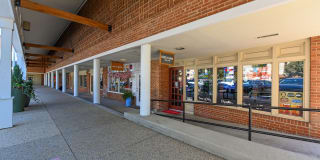 The Stories Gallery 46