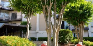 University Garden Apartment Homes Gallery 36