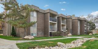 Country Woods Gallery 5