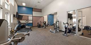 Trellis at the Lakes Gallery 8