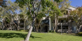Avalon Campbell Gallery 31