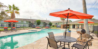 The Palm on SPID Gallery 1