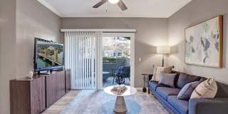 Broadleaf Apartments Gallery 18