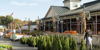 Elan Union Market Gallery 34