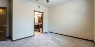 Tree Apartments Gallery 11