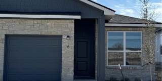 3900 American Elm Gallery 1