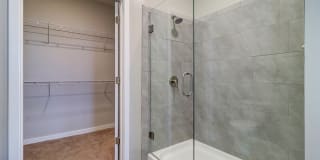 Nexus Brandon Gallery 84