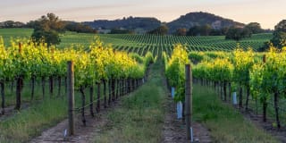 Dublin Station by Windsor Gallery 42