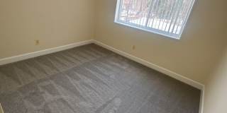 Hewitt Gardens Gallery 85