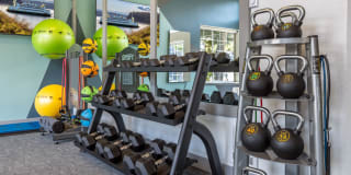 1202 Pearl Gallery 28