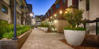 Residences at Westgate Gallery 26