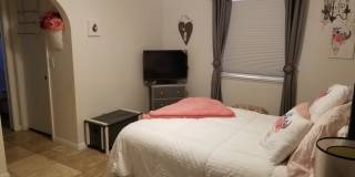 WINTER RENTAL 2026-2027 Gallery 27
