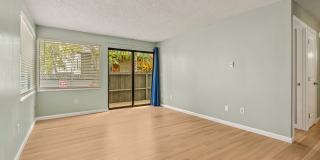 2 Bedroom 2 bath in the Heart of Ballard Gallery 7