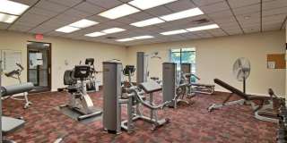 955 Dotterel Road Gallery 42