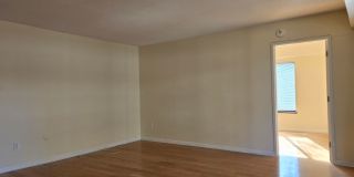 Coolidge Corner, Prime location!  West facing bright condo w/Garage Parking Available 9/1! Walk to Longwood! Gallery 15