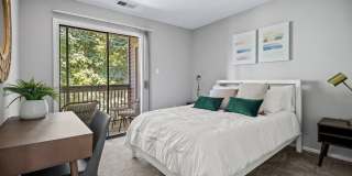 Harris Pond Gallery 29