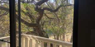 3 bed 2 bath house Gallery 3