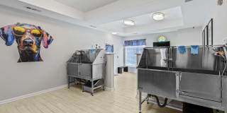 Retreat at John's Creek Gallery 22