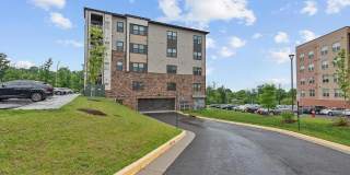 46270 MOUNT ALLEN Terrace Gallery 17
