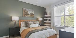 Cortland Belmar Gallery 9