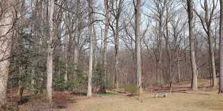 118 QUAINT ACRES Drive Gallery 8