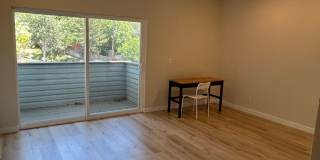 GORGEOUS Downtown Apartment!!! Gallery 1