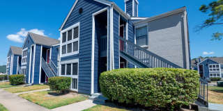 Willow Springs Gallery 43