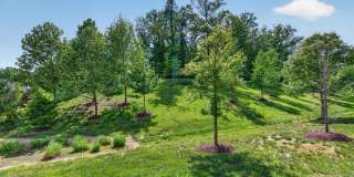 2713 PROSPECT HILL DR Gallery 31