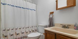 250 Brentwood Drive Gallery 15