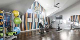 Fountain Palms Gallery 17