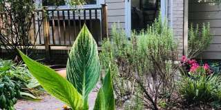 Desirable Carrboro 2 Bed Condo- All 1 Level! Gallery 1