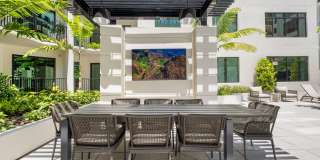 Aster & Links Gallery 18